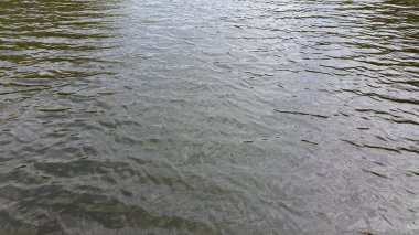 - Su. Su yüzeyi nehri. Göl. Doğal arka plan. Dalgalı sörf
