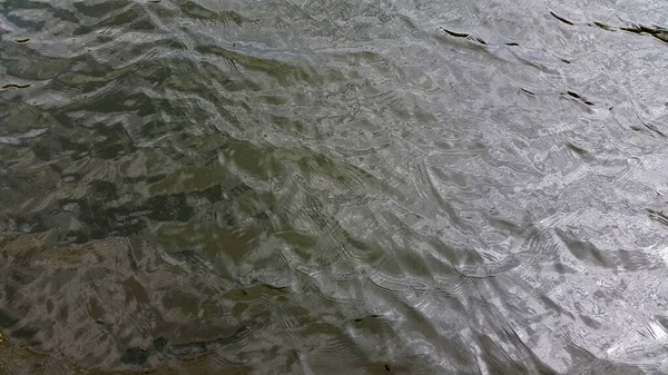 Воды Река Поверхности Воды Озеро Естественный Фон Волнистая Серфа — стоковое фото