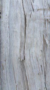 Klasik ahşap arka plan. Desenli yüzey