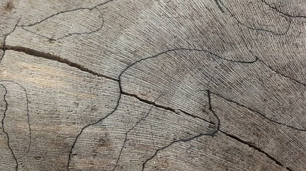 Wood. Old rotten wood. Vintage cracked wood. Textured background