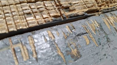 Doğal desenli eski ahşap doku. Klasik ahşap arkaplan