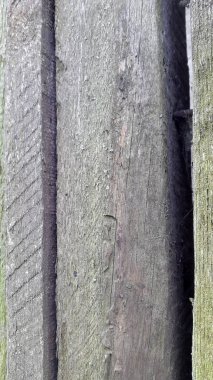 Doğal desenli eski ahşap doku. Klasik ahşap arkaplan