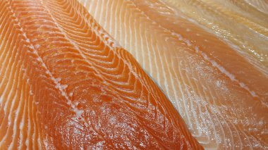 Balık fileto. Deniz ürünleri. Balık eti