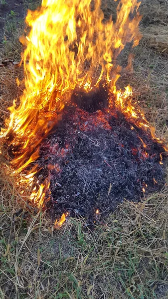 Пожежне Полум Полум Вогню Бонфайр Освітлений Природою — стокове фото