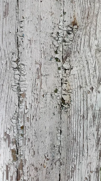 Стара Текстура Дерева Натуральними Візерунками Вінтажний Фон Дерева — стокове фото