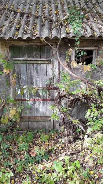 Övergiven Ruin Gammal Traditionell Stil Arkitektur Trä Stuga Stuga — Stockfoto