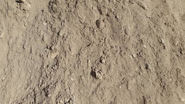 Kum yüzeyi. Gevşek kum. Kum. Kumlu doku