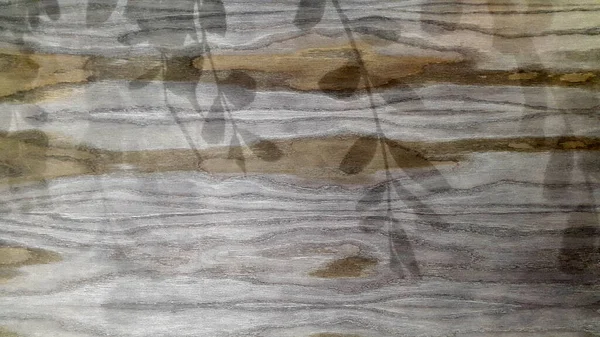 Eski Gri Tahtalar Eski Yıpranmış Sazlardan Yapılmış Bir Panel Ahşap — Stok fotoğraf