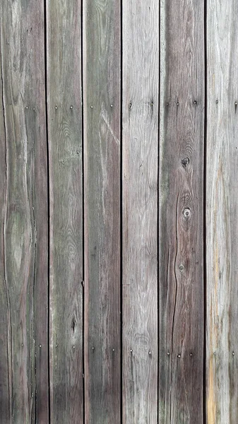 Old Gray Boards Panel Made Old Weathered Sedges Wooden Vintage — Stock Photo, Image