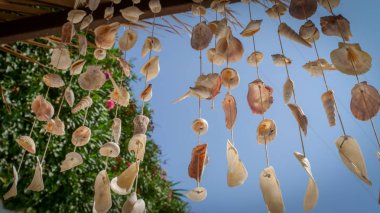 deniz kabukları rüzgar ahenge bir açık mavi gökyüzü