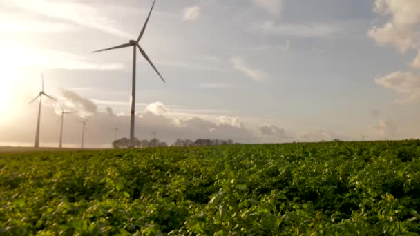 Windturbine Draaien Een Gebied Van Gewassen — Stockvideo