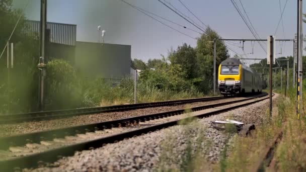 Trainen Sporen Van Spoorweg Passerende — Stockvideo
