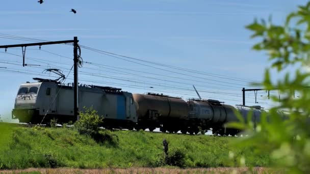 Train Marchandises Passant Par Une Journée Ensoleillée — Video