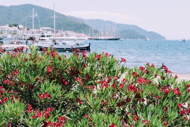 Marmaris, Türkiye - Haziran 2018 yaklaşık: güneşli bir gün Marmaris'te bir arka plan üzerinde Yalı ve tepeler görünüm.