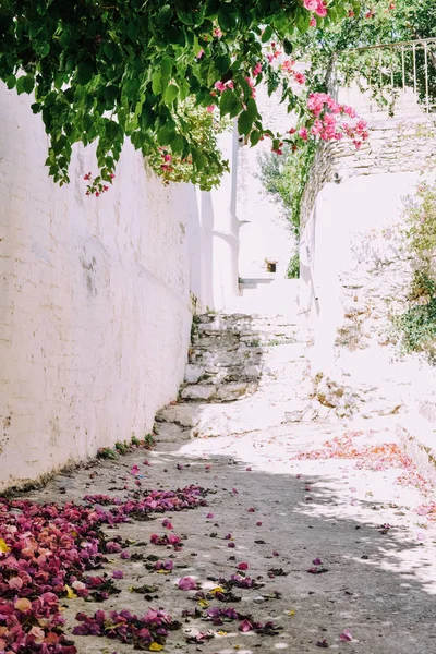 Σύμη Ελλάδα Circa Ιουνίου 2018 Μικρά Δρομάκια Πολύχρωμα Φωτεινά Σπίτια — Φωτογραφία Αρχείου