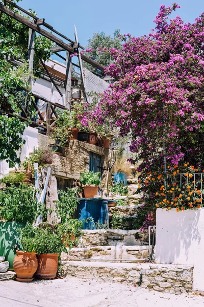 Symi Island Greece Circa June 2018 Небольшие Улочки Красочные Яркие — стоковое фото