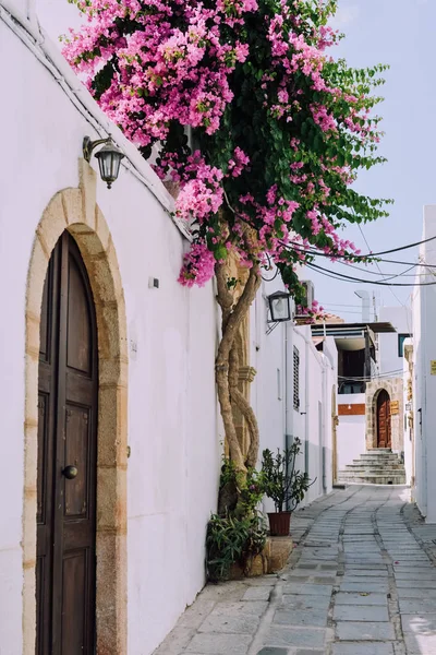 希腊罗得岛的林多斯 2018年6月 希腊罗得岛林多斯被粉刷过的小传统房屋迷宫中狭窄的波浪形街道 — 图库照片