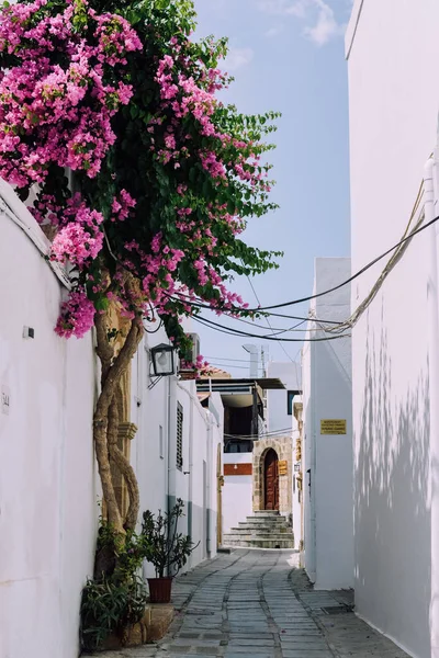 Lindos Phodes Grèce Circa Juin 2018 Rues Étroites Ondulées Dans — Photo