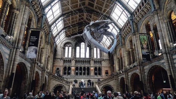 London Circa June 2019 Blue Whale Skeleton Crowd People Hintze — Stock Photo, Image