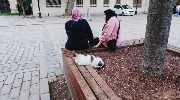 Istanbul Turkey Circa September 2019 Two Women Hijabs Sit Bench — Stock Photo, Image