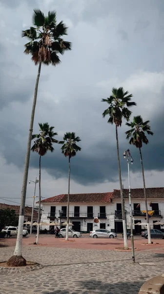 Guaduas Colombia Circa 2020年2月 曇りの日に植民地時代の村Guaduasのメイン広場にある背の高いヤシの木 — ストック写真