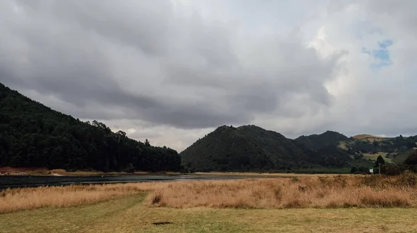 Embalse Del Neusa Colombia March Circa 2020 Rumput Kuning Dan — Stok Foto