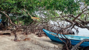 RINCON DEL MAR, COLOMBIA - CIRCA FEBRUARY 2020: Karayip Denizi 'ndeki San Bernardo adasında balıkçı tekneleri ve ormanları olan plaj.