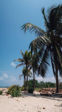 RINCON DEL MAR, COLOMBIA - CIRCA FEBRUARY 2020: sahil beyaz kum, palmiye ağaçları ve küçük bir köyde Karayip denizinin turkuaz mavi suları.