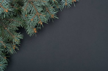 Noel ağacı dalları ile yaratıcı dekorasyon desen. Kavramı