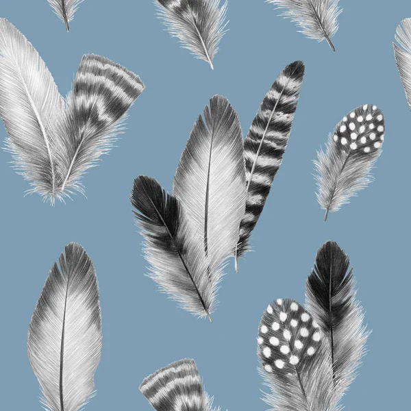 feathers sketch graphics interesting beautiful feather pencil drawing print illustration pattern with a group of feathers 6