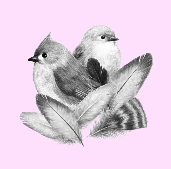 sketch of a bird graphics cute little bird pencil drawing print illustration collage birds with feathers 2