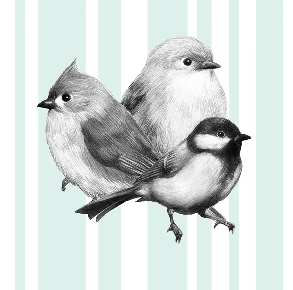 sketch of a bird graphics cute little bird pencil drawing print illustration collage three birds 4
