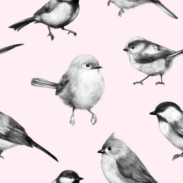 sketch of a bird graphics cute little bird pencil drawing print illustration pattern 3