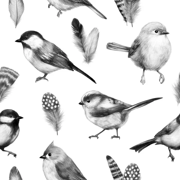 sketch of a bird graphics cute little bird pencil drawing print  illustration pattern with feathers 1 - Stock Image - Everypixel