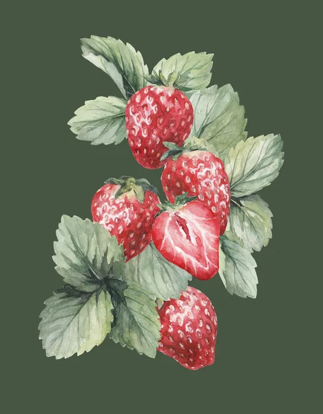 watercolor drawing on a summer theme ripe beautiful strawberries with leaves fresh berries collage on a green background