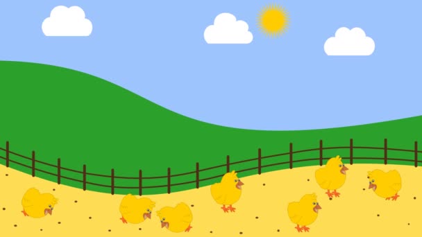 Eine Hühnerfarm Die Der Bascour Animation Pickt — Stockvideo