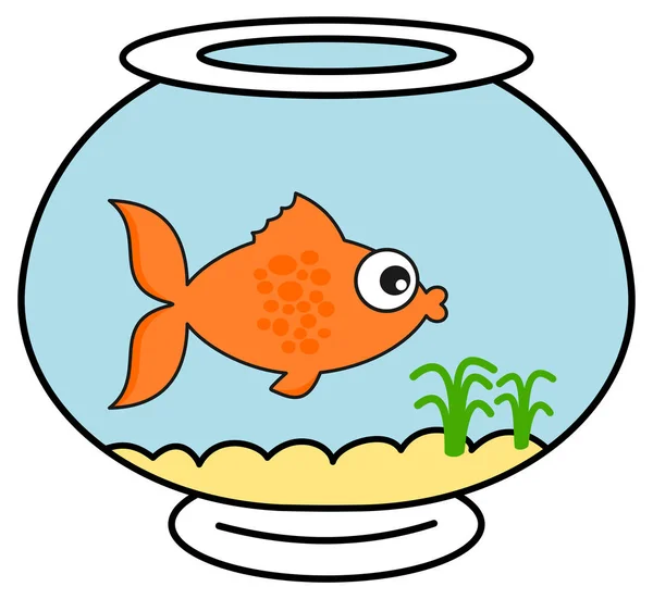 Orange Fish His Aquarium — Stock Vector