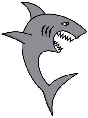 Açık çene ve keskin dişler ile büyük bir köpekbalığı