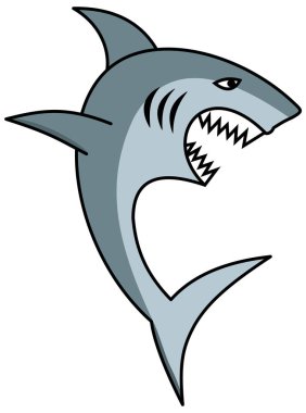 Açık çene ve keskin dişler ile büyük bir köpekbalığı