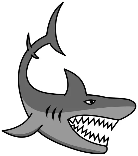 Great Shark Open Jaw Sharp Teeth — Stock Vector