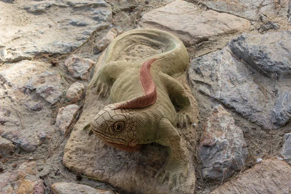 Lagarto Decorativo Sentado Uma Pedra Perto Fonte — Fotografia de Stock