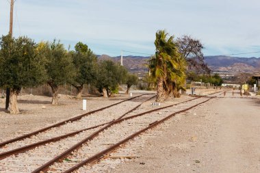 demiryolu parça ile dikilen ağaçlar merkezi ve iki tarafta