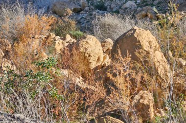 Güzel. Andalusia dağlar, İspanya. Mountain view.