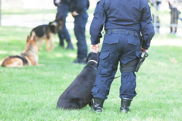 Policial Com Cão Plantão — Fotografia de Stock