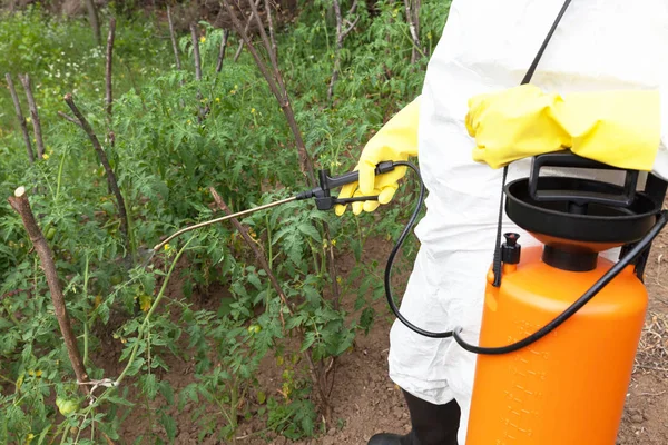 Homem Pulverizando Pesticidas Tóxicos Inseticidas Horta — Fotografia de Stock