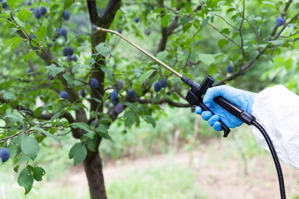 Pesticides Insecticides Spraying Non Organic Fruit — Stock Photo, Image