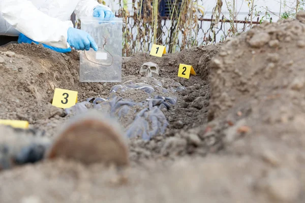 Exhumación Especialista Ciencias Forenses Trabajo — Foto de Stock