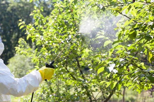 Agricultor Rociando Pesticidas Herbicidas Huerto Frutas — Foto de Stock