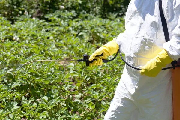 Bonde Sprutning Giftiga Bekämpningsmedel Eller Insektsmedel Grönsakslandet — Stockfoto