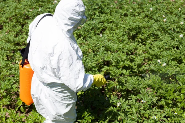 农民在菜园喷洒有毒农药或杀虫剂 — 图库照片